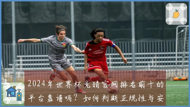 2024年世界杯竞猜官网排名前十的平台靠谱吗？如何判断正规性与安全性