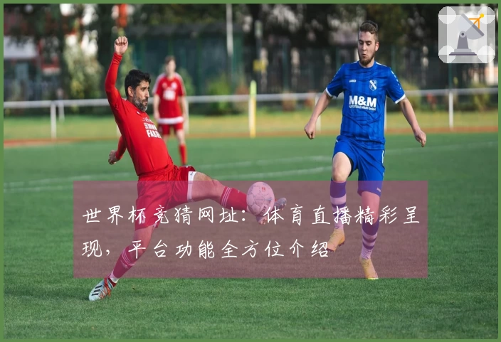 世界杯竞猜网址：体育直播精彩呈现，平台功能全方位介绍