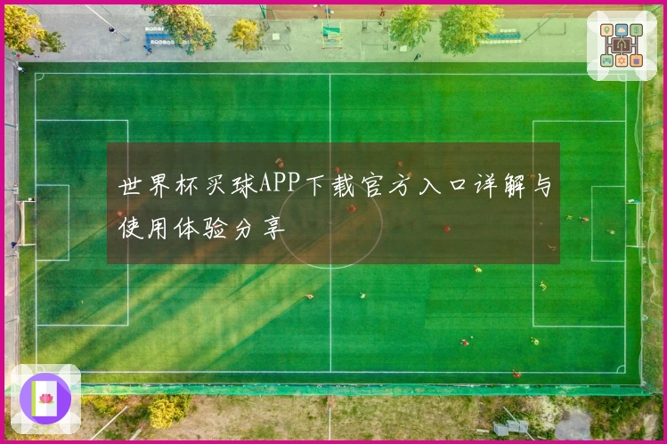 世界杯买球APP下载官方入口详解与使用体验分享