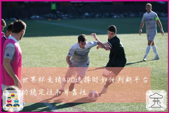 世界杯竞猜app选择时如何判断平台的稳定性和可靠性