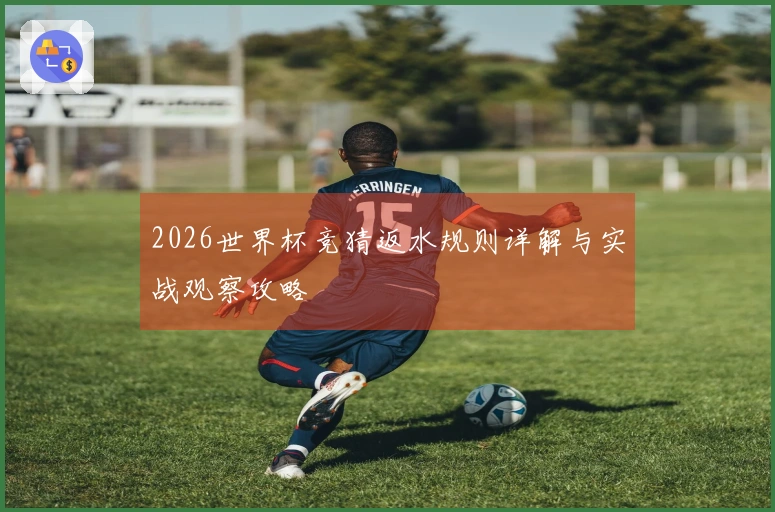 2026世界杯竞猜返水规则详解与实战观察攻略