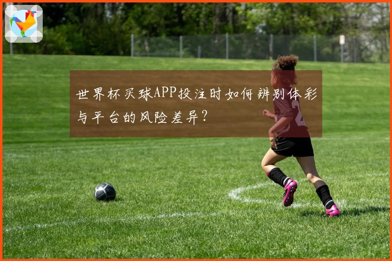 世界杯买球APP投注时如何辨别体彩与平台的风险差异?