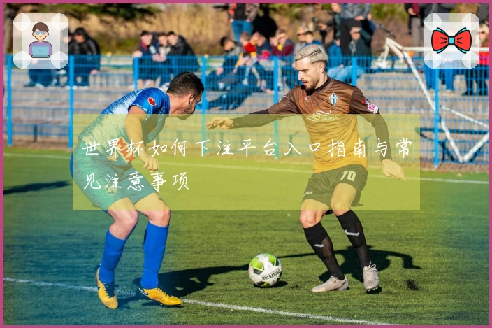 世界杯如何下注平台入口指南与常见注意事项