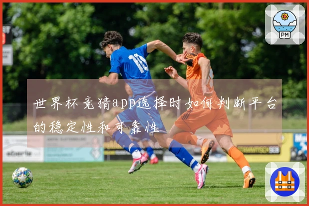 世界杯竞猜app选择时如何判断平台的稳定性和可靠性