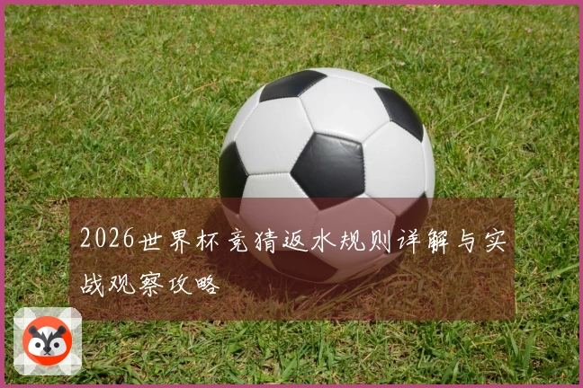 2026世界杯竞猜返水规则详解与实战观察攻略