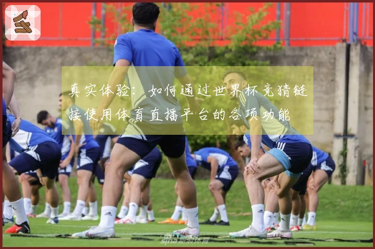 真实体验：如何通过世界杯竞猜链接使用体育直播平台的各项功能