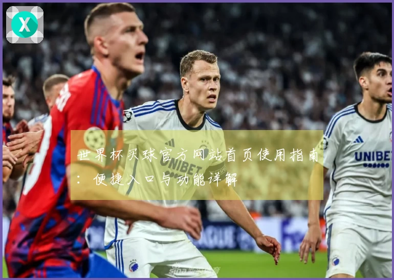 世界杯买球官方网站首页使用指南：便捷入口与功能详解