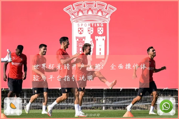 世界杯竞猜开户注册：全面操作体验与平台指引说明