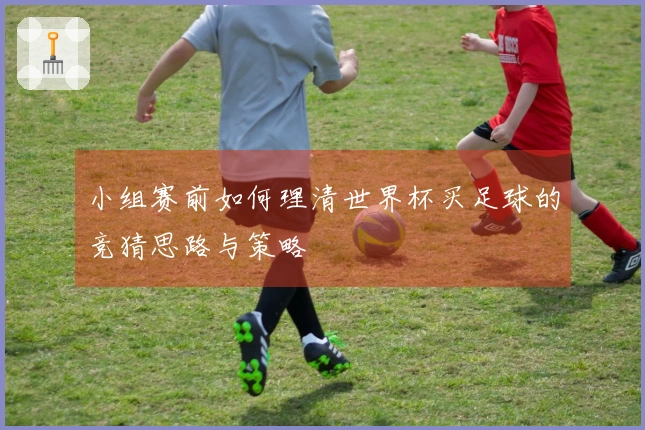 小组赛前如何理清世界杯买足球的竞猜思路与策略
